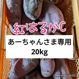あーちゃんさま専用　紅はるかC20kg(野菜)