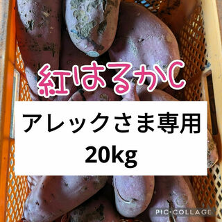 アレックさま専用　紅はるかC20kg(野菜)