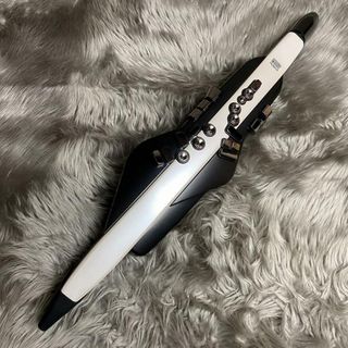 Roland（ローランド）/Aerophone AE-20【現物画像】 【中古】【USED】デジタル管楽器（ウインドシンセ）【マークイズ福岡ももち店】(キーボード/シンセサイザー)