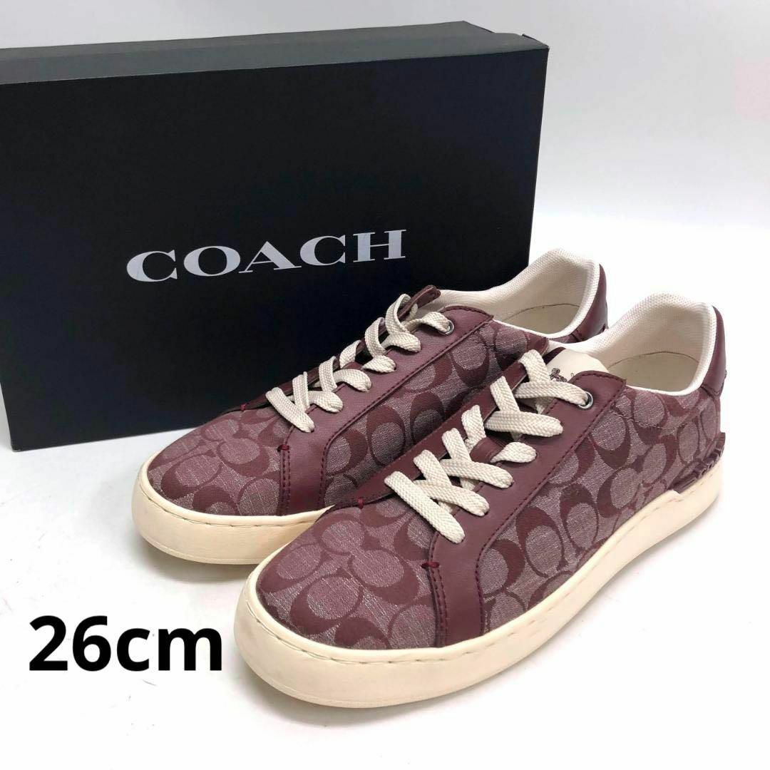 COACH(コーチ)の☆未使用☆コーチ クリップ ロー トップ スニーカー・シグネチャー シャンブレー メンズの靴/シューズ(スニーカー)の商品写真