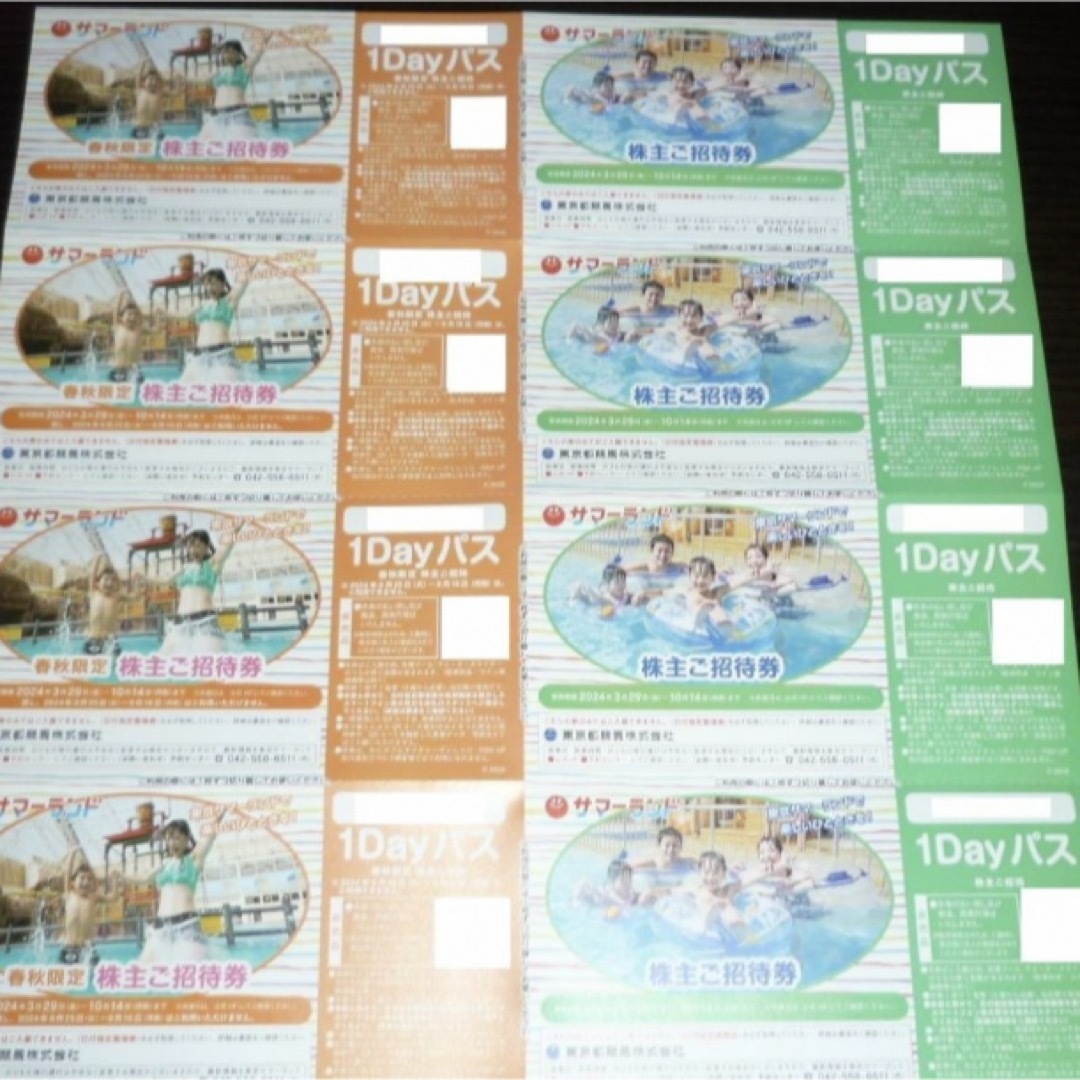 東京都競馬　株主優待 チケットの施設利用券(遊園地/テーマパーク)の商品写真