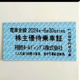 相鉄ホールディングス　株主優待乗車証(鉄道乗車券)