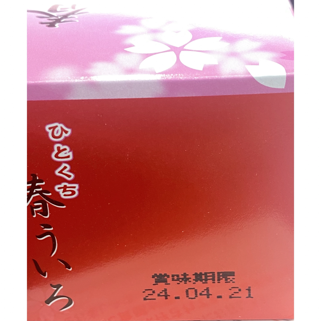 【春ういろう　餅文】ういろう　　春　ういろう　餅文 食品/飲料/酒の食品(菓子/デザート)の商品写真