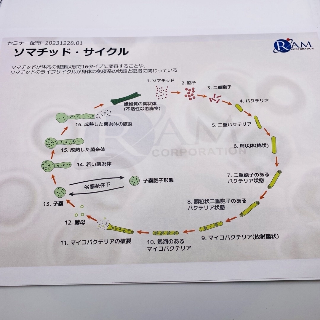 超微小知性体ソマチッド 新品未使用 ソマチ100g 超微小知性体ソマチッド 新品未使用 ソマチ100g