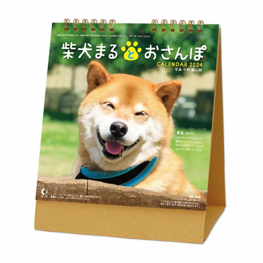 新日本カレンダー 卓上 柴犬まるとおさんぽ 2024年 カレンダー CL24-0 その他のその他(その他)の商品写真