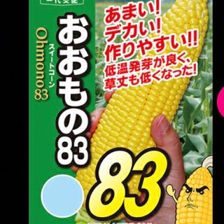 とうもろこし　おおもの83 種(野菜)