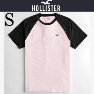 ホリスター(Hollister)の新品タグ付き☆ホリスター半袖TシャツSアバクロンビー&フィッチアメリカンイーグル(Tシャツ/カットソー(半袖/袖なし))