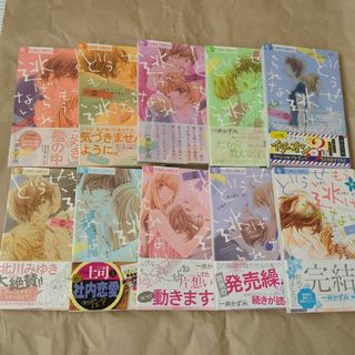 ショウガクカン(小学館)のどうせもう逃げられない 全10巻(少女漫画)