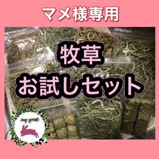 ★マメ様専用★牧草お試しセット(ペットフード)