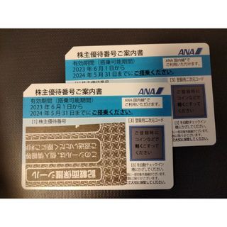 エーエヌエー(ゼンニッポンクウユ)(ANA(全日本空輸))のANA 株主優待 2枚(航空券)