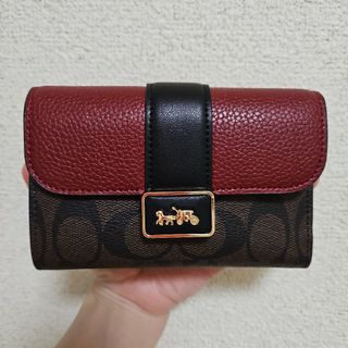 COACH - COACH コーチ 19915 トートバッグ シグネチャー ストライプ 赤