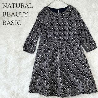 ナチュラルビューティーベーシック(NATURAL BEAUTY BASIC)のNATURAL BEAUTY BASIC 総柄 花柄刺繍 長袖ワンピース(ひざ丈ワンピース)