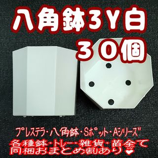 《3Y》カネヤ 八角鉢 白 30個 プラ鉢 多肉植物 3号相当 プレステラ(プランター)