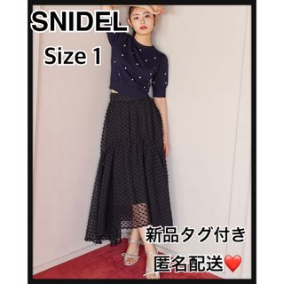 スナイデル(SNIDEL)のスナイデル バリエチュールスカート BLK  ロングスカート  Aライン(ロングスカート)