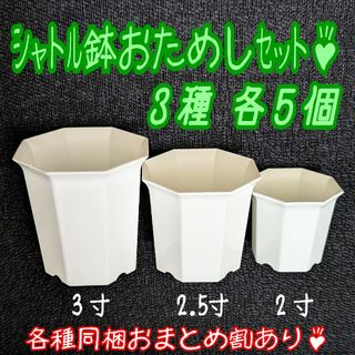 シャトル鉢おためしセット♪ 【3種各5個】プラ鉢八角鉢スリット鉢プレステラ多肉(プランター)