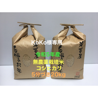 KoKo様専用 無農薬コシヒカリ5分づき20kg(5kg×4)令和5年産(米/穀物)