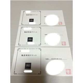 ティップネス 施設利用券(フィットネスクラブ)