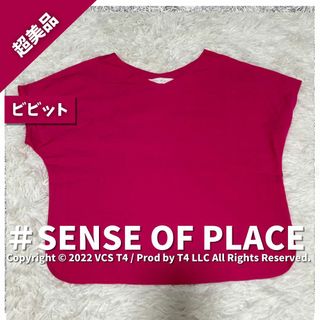 センスオブプレイスバイアーバンリサーチ(SENSE OF PLACE by URBAN RESEARCH)の【超美品】センスオブプレイスバイアーバンリサーチ カットソー ピンク ✓2469(Tシャツ(長袖/七分))