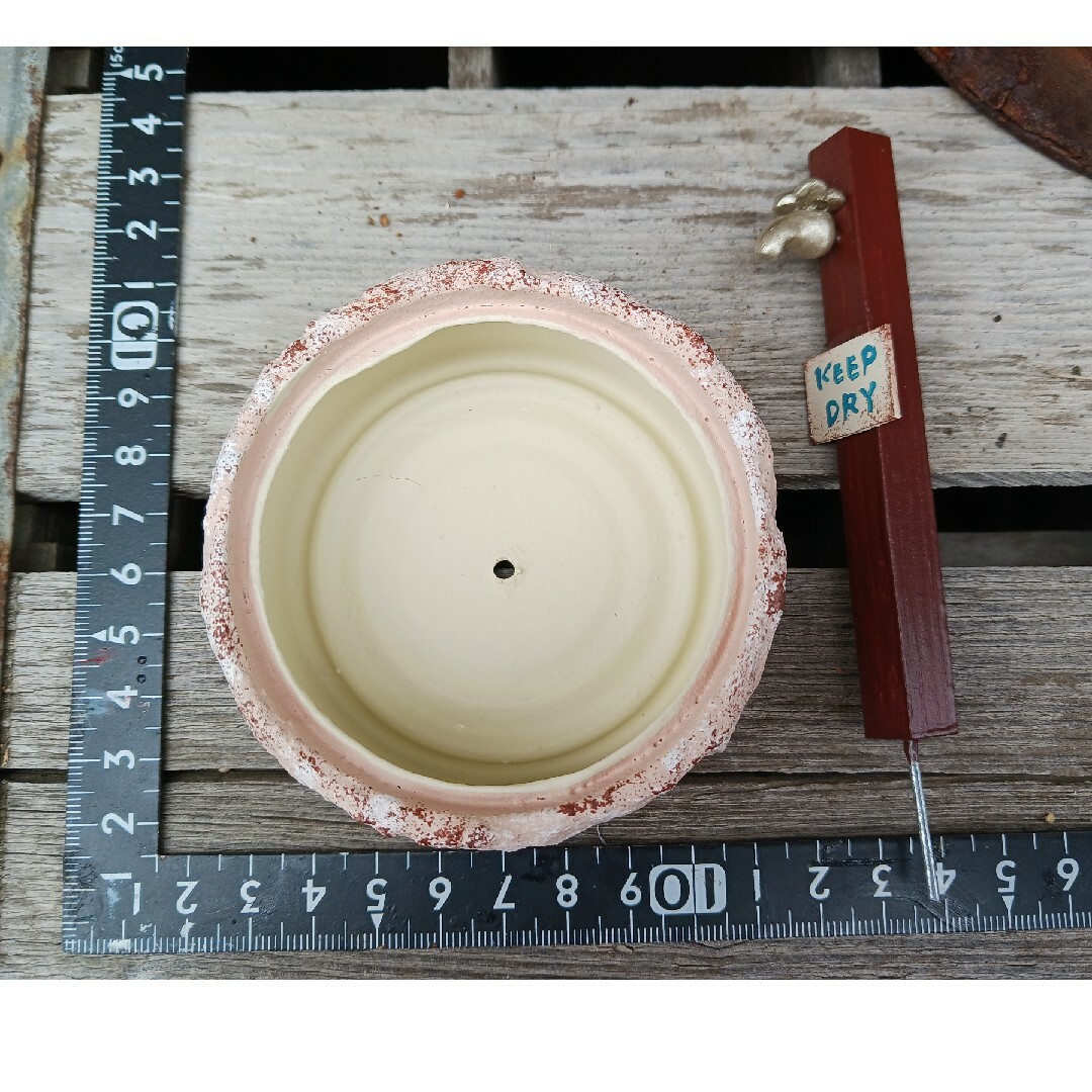 リメイク鉢　流し台鉢と蛇口ピック ハンドメイドのフラワー/ガーデン(プランター)の商品写真