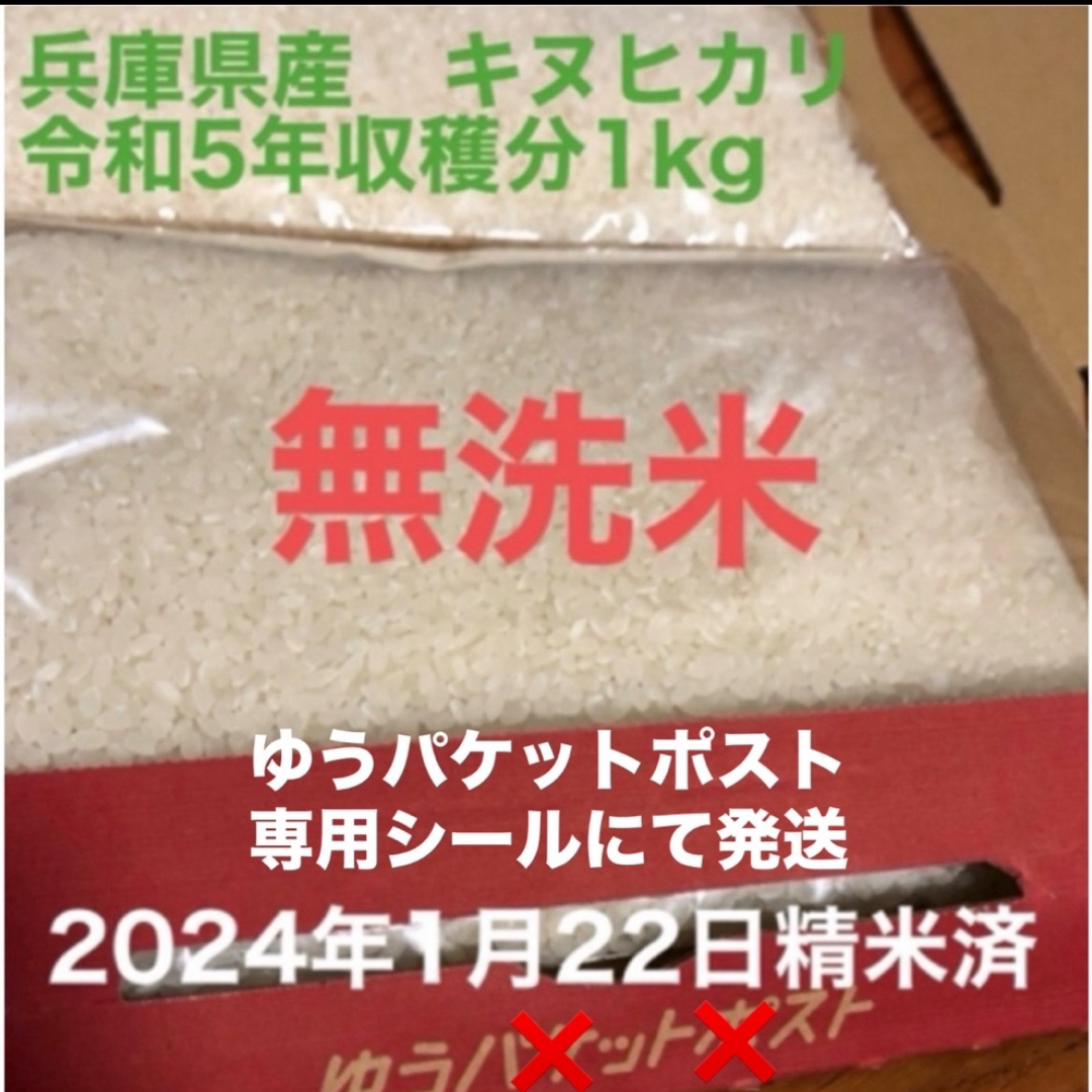 白米　兵庫県産　キヌヒカリ　1kg 食品/飲料/酒の食品(米/穀物)の商品写真