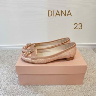 ダイアナ(DIANA)のDIANA (その他)