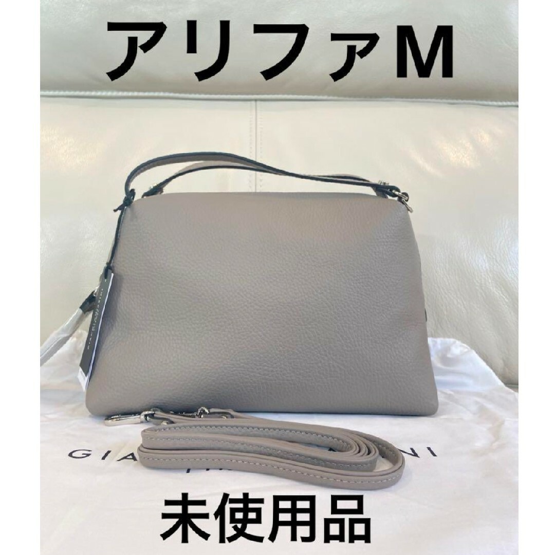 GIANNI CHIARINI(ジャンニキャリーニ)の【新品】GIANNI CHIARINI バッグ　アリファMサイズ レディースのバッグ(ショルダーバッグ)の商品写真