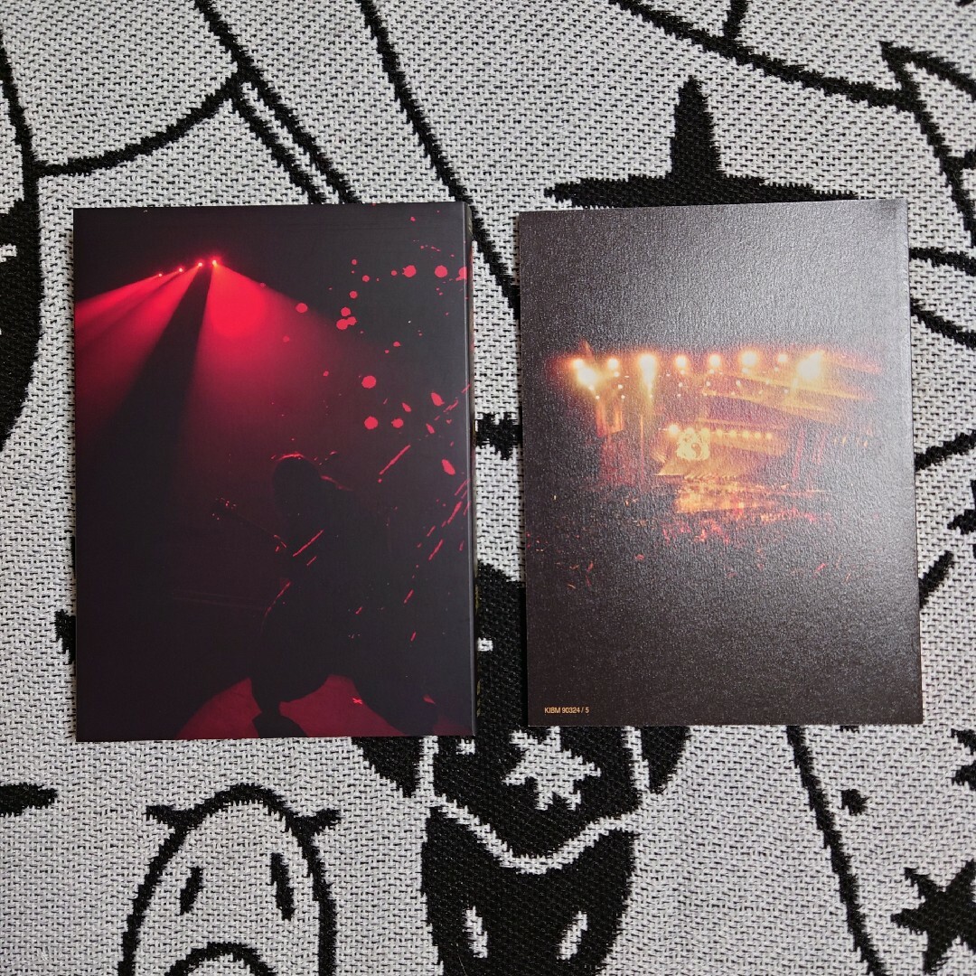 絶界演舞（完全限定プレス盤） DVD エンタメ/ホビーのDVD/ブルーレイ(ミュージック)の商品写真