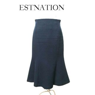 エストネーション(ESTNATION)の✨春物✨ESTNATION★レディース★ロングフレアスカート★size38(ロングスカート)