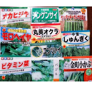 【少量ずつ多品種揃えたい方向け】野菜の種11種類セット(野菜)