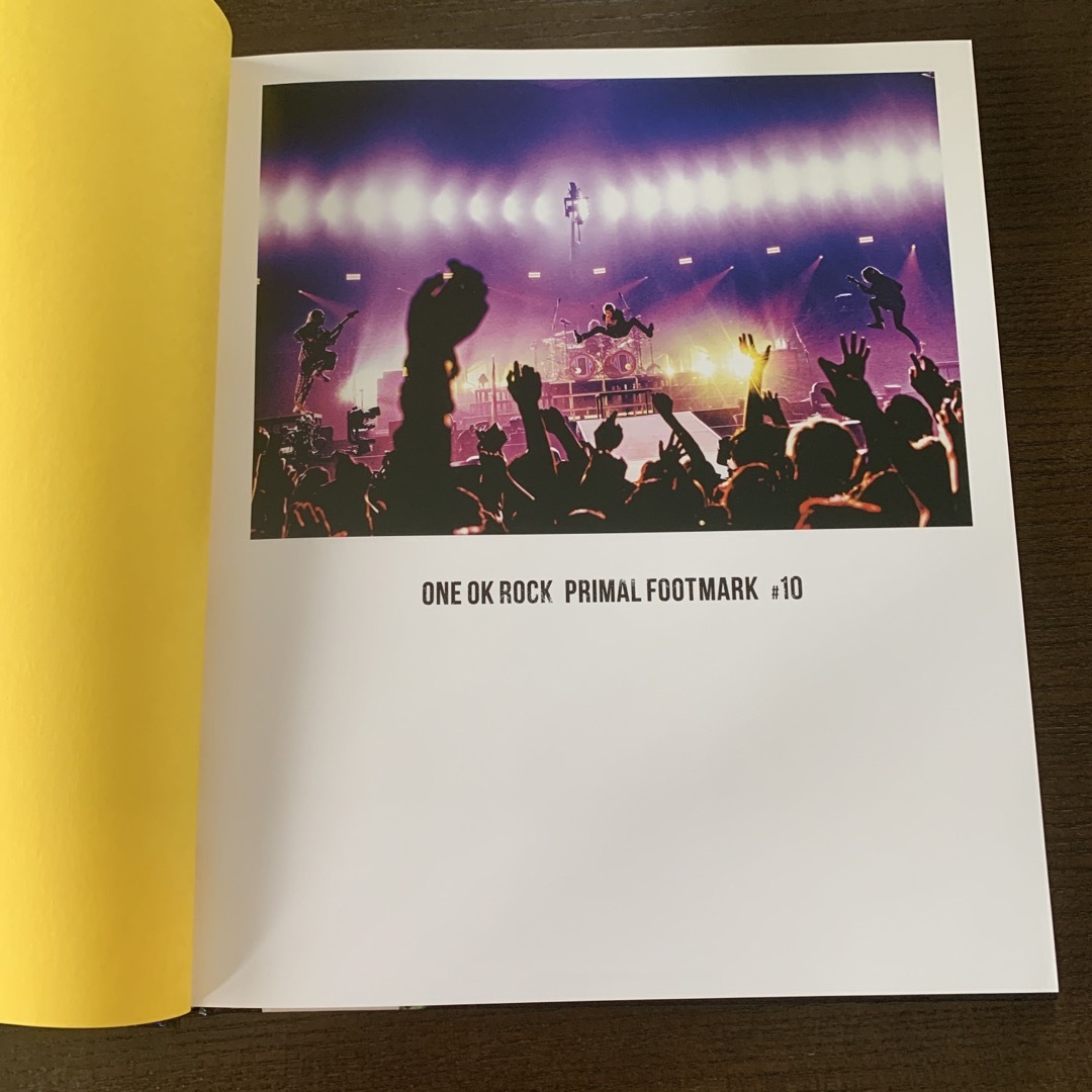 ONE OK ROCK(ワンオクロック)のONE OK ROCK【ワンオクロック】PRIMAL FOOTMARK#10 エンタメ/ホビーのタレントグッズ(ミュージシャン)の商品写真