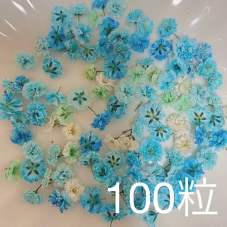 ブルー系 かすみ草ドライフラワー100粒(ドライフラワー)