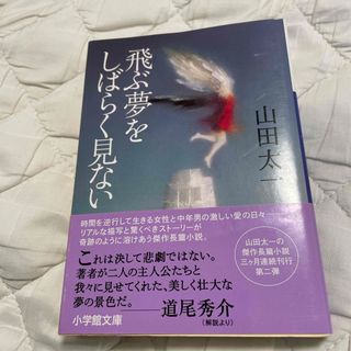 飛ぶ夢をしばらく見ない  (文庫)(文学/小説)