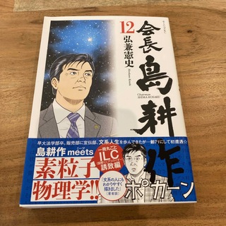 コウダンシャ(講談社)の会長　島耕作　12 (青年漫画)