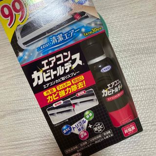 エアコンカビトルデス 100ml