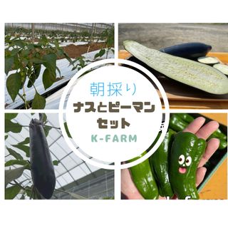 ピーマンとナス　お野菜セット　農家直送　80サイズ箱　いっぱい　朝採り　新鮮(野菜)