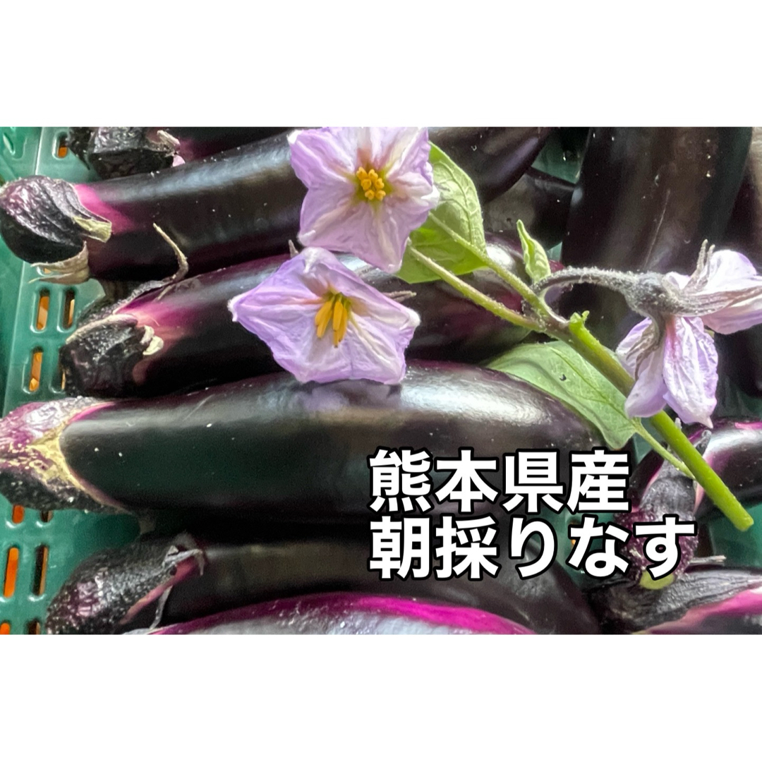 80サイズ　箱いっぱい　産地直送　農家直送　朝採り　新鮮野菜　野菜　茄子　ナス 食品/飲料/酒の食品(野菜)の商品写真