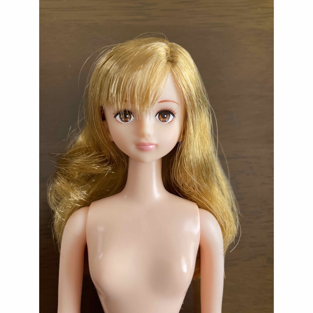 Genny(ジェニー)のジェニーちゃん　ジェニーフレンド　シオン ハンドメイドのぬいぐるみ/人形(人形)の商品写真