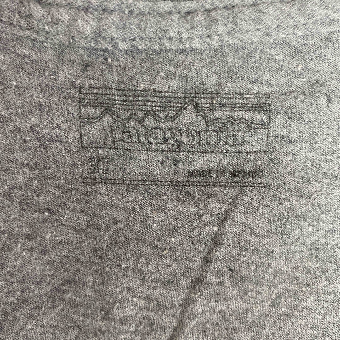 patagonia(パタゴニア)のキッズ　ベビー　Tシャツ　Patagonia  3T キッズ/ベビー/マタニティのキッズ服男の子用(90cm~)(Tシャツ/カットソー)の商品写真