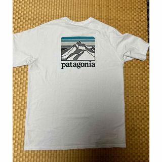 パタゴニア(patagonia)の最終値下げ  Patagonia メンズTシャツ Mサイズ(Tシャツ/カットソー(半袖/袖なし))