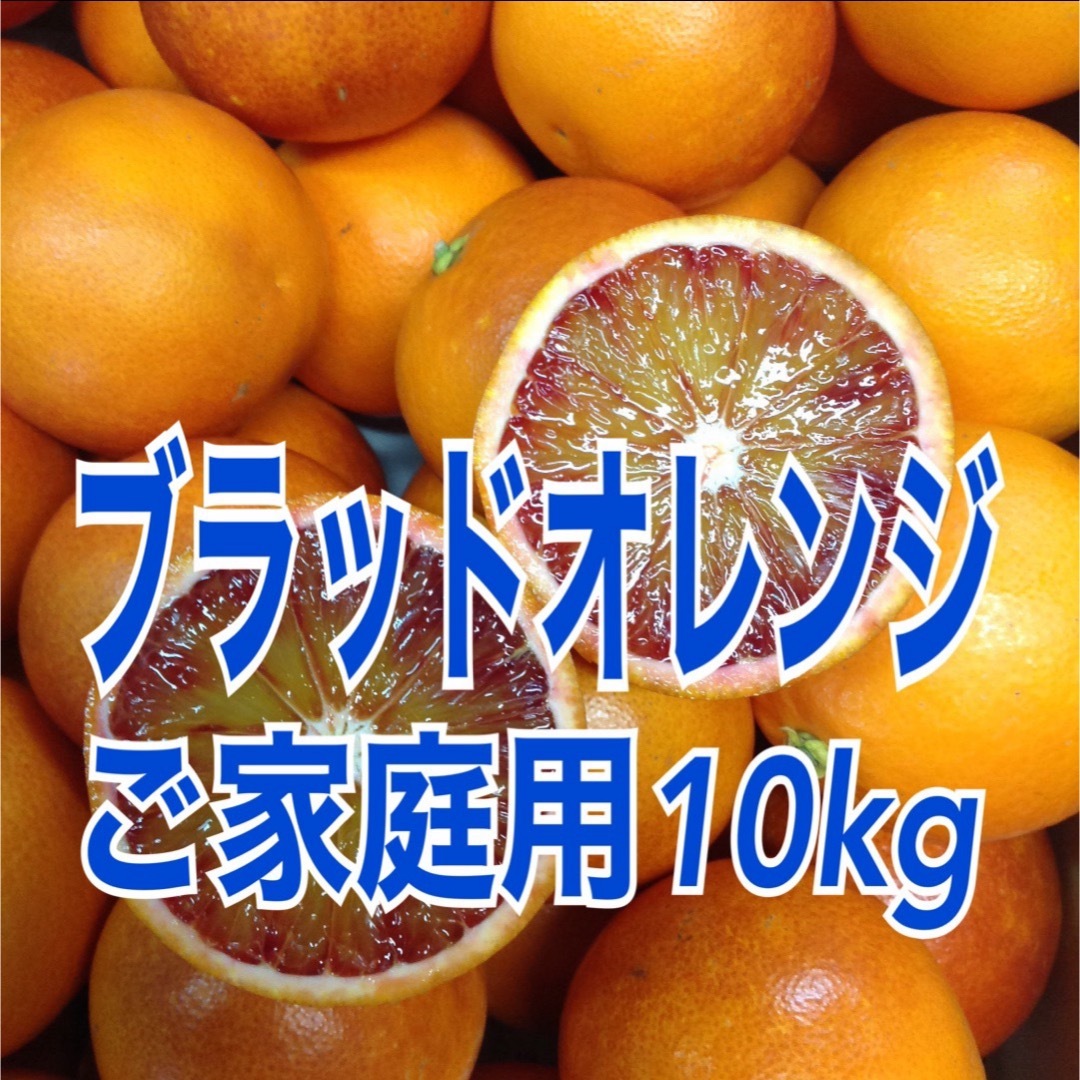 ブラッドオレンジ　10kg  食品/飲料/酒の食品(フルーツ)の商品写真