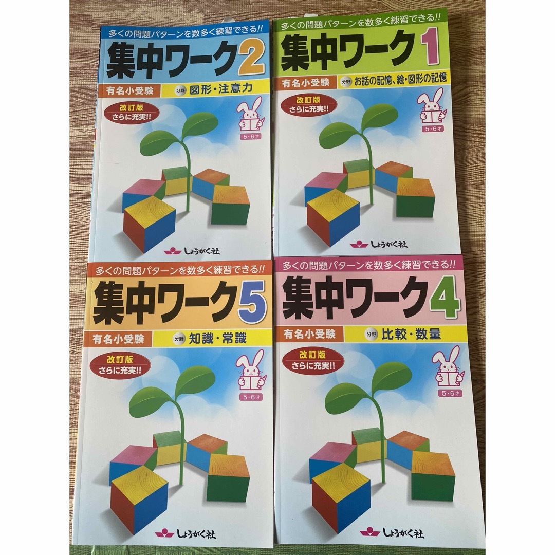 しょうがく社　集中ワーク 4冊　伸芽会　理英会　こぐま会　小学校受験　ニチガク エンタメ/ホビーの本(語学/参考書)の商品写真