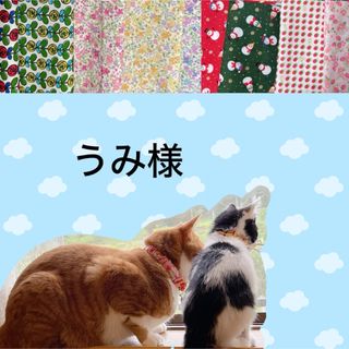 猫首輪  ひまわりリボン ＋セーフティバックル  ⑩-RB7-1(リード/首輪)