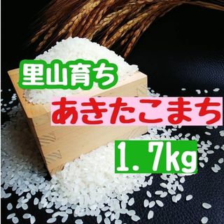 里山育ち　あきたこまち1.7kg(精米・令和5年産)(米/穀物)