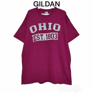 GILDAN　ギルダン　Tシャツ　半袖　古着　OHIO　ロゴプリント　オーバー(Tシャツ/カットソー(半袖/袖なし))