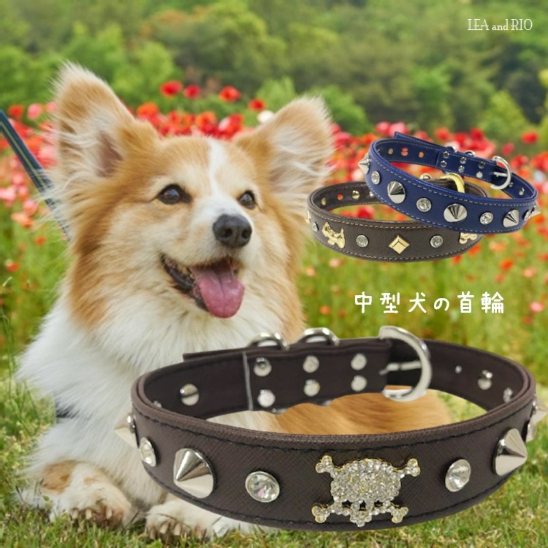 首輪 カラー スタッズ 中型犬用 PV11 PV15 PV16 その他のペット用品(犬)の商品写真