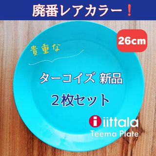 イッタラ(iittala)の【廃番レアカラー！】新品　イッタラ ティーマ ターコイズ　26センチ　2枚セット(食器)