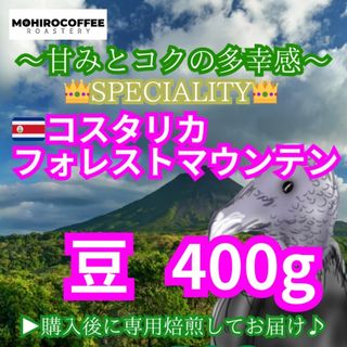 【豆】 コスタリカ フォレストマウンテン 生豆時 400g コーヒー  珈琲(コーヒー)