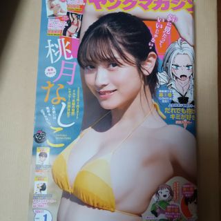 コウダンシャ(講談社)のヤングマガジン 2024年 1/1号 [雑誌](アート/エンタメ/ホビー)