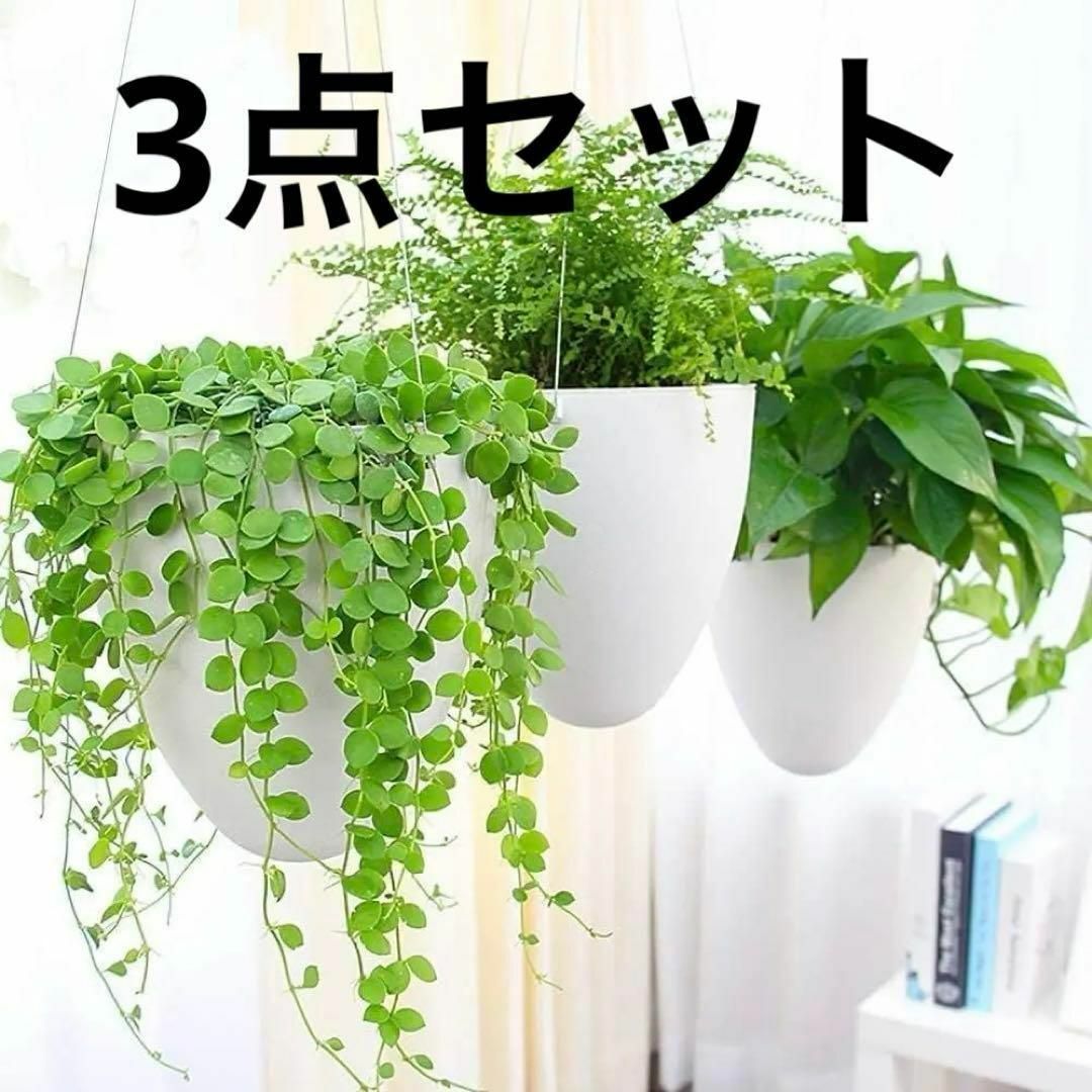 Sungmor 自動吸水植木鉢 小さめ プラスチック おしゃれ つり上げ式 自動 レディースのジャケット/アウター(ノーカラージャケット)の商品写真