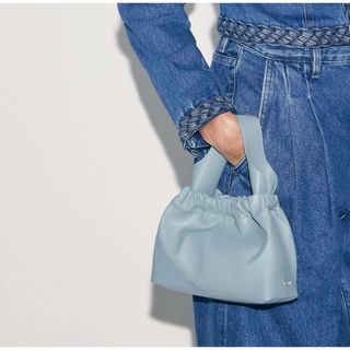 チャールズアンドキース(Charles and Keith)のCHARLES & KEITH Ally アリー ルーシュドスローチーバッ(ショルダーバッグ)